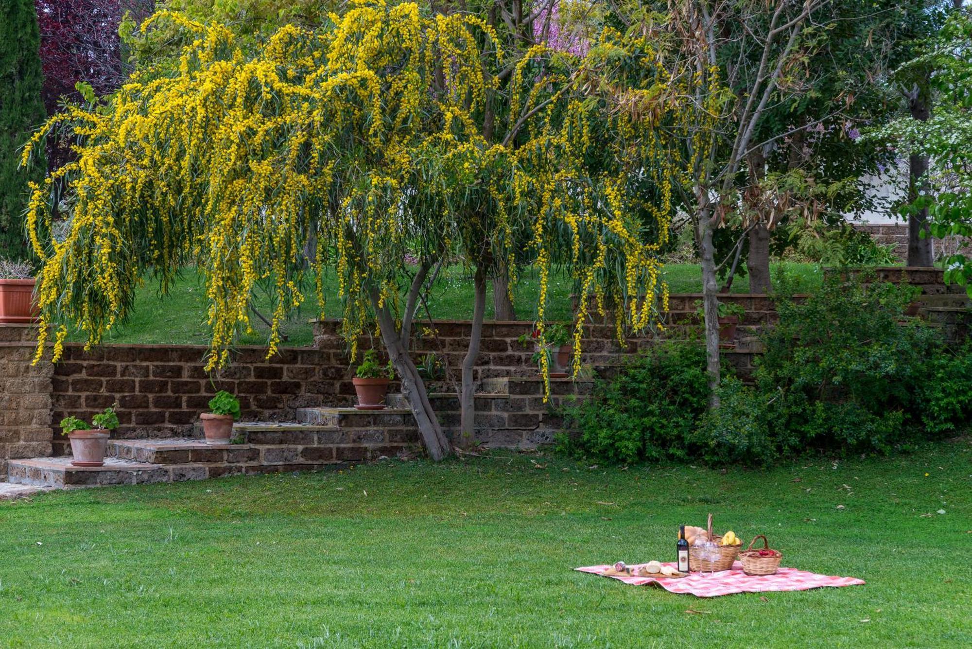 Villa Gli Eucalipti Cerveteri Luaran gambar