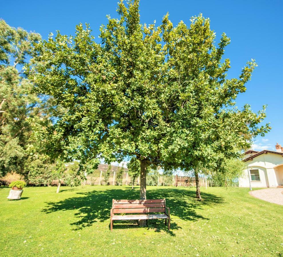 Villa Gli Eucalipti Cerveteri Luaran gambar